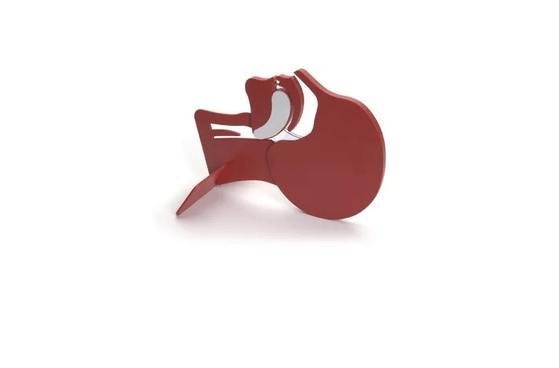 Kopfschnittmodell - Erler